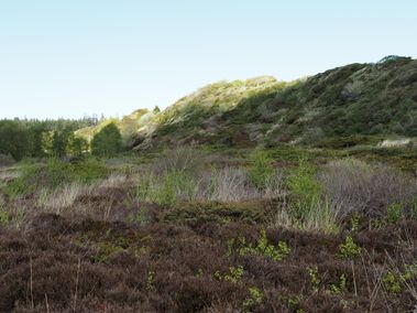 Hærvejen