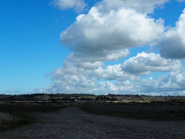 Hærvejen