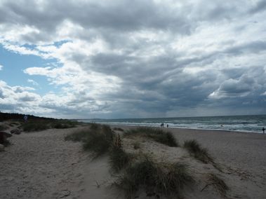 P8010074