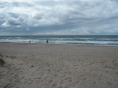P8010079