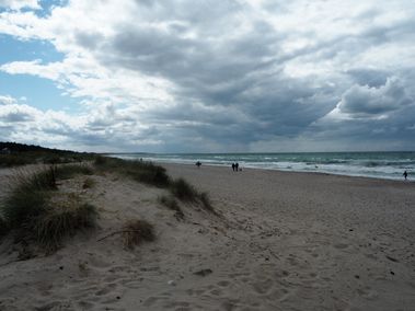 P8010083