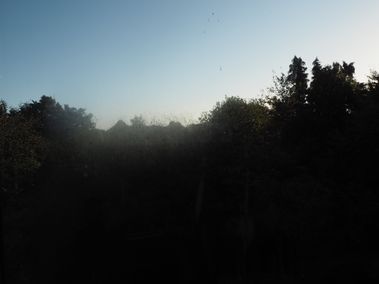 PA110092