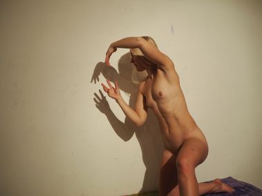 Playing Shadow