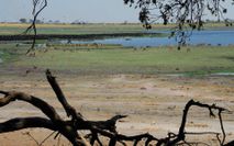 Chobe Namibia