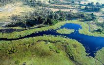 Okawango Delta 10
