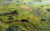 Okawango Delta 7