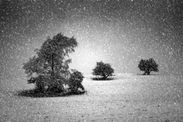 Early winter