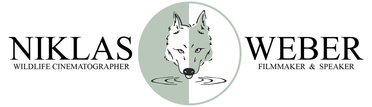 Logo Niklas Weber Naturfotograf Filmemacher Sprecher Referent Naturschützer