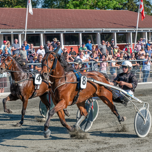 Baltic Baunely med Tom Olsen Bornholms Brand Park 18 juni 2019 Fotogra