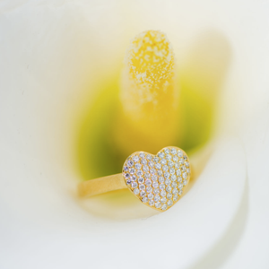 blomst og ring