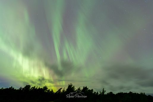 IMG_0104-Förbättrat-BR