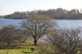 Haraldsted Lake