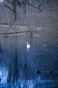 Master of the lake