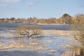 Flooding