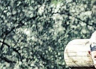 Foto fra Spartan Race