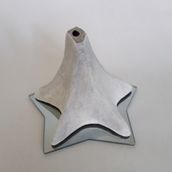 Mollusc