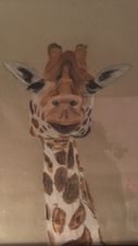 Giraffen
