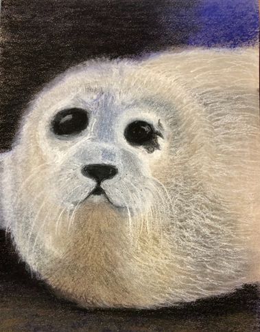 sælen