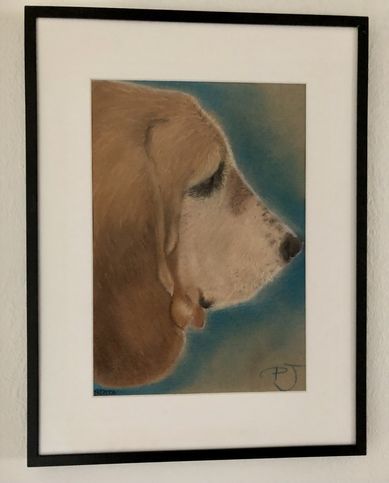 Bassethunden Berta