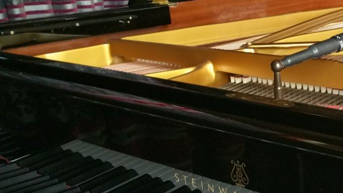 Spécialiste pour les marques suivantes : 

- Feurich
- Hoffmann
- Euterpe
- Kawai
- Petrof
- Kemble
- Yamaha
- Grotrian-Steinweg
- Bechstein
- Seiler
- Boesendorfer
- Bluthner
- Boston
- Erard
- Gaveau
- Ibach
- Nordiska
- Pfeiffer
- Pleyel
- Rönisch
- Samick
- Schimmel
- Schulze & Pollmann
- Seiler
- Schiedmayer
- Steck
- Steingraeber
- Hellas
- August Foerster
- Sauter
- Fazioli
- Steinway & Sons
- Steinberg
- Mason & Hamlin
- Wendl & Lung
- Young Chang
