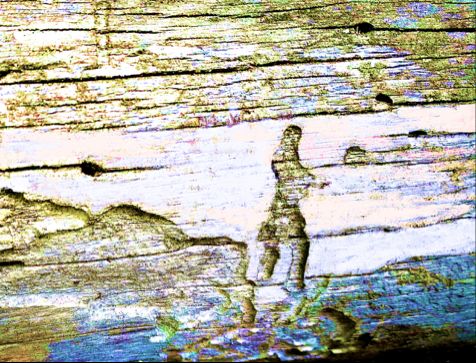 Borkoglyph. Der einsame Wanderer