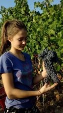 IMG_20170923_175752