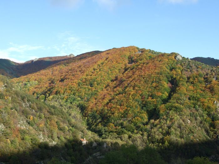Couleurs d'automne en face du jardin