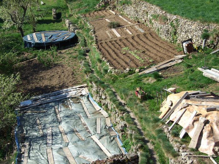 La bonne surprise du 13 avril 2014: des salades spontanées!! En fin d'automne, j'avais bâché la moitié de chaque terrasse, une technique pour trouver le sol prêt à semer sans mauvaises herbes au printemps. Mais la bâche du haut devait être trop claire, car des salades issues de celles qui avaient monté en graines en fin d'été 2013 ont pu pousser sous la bâche...alors qu'à quelques kilomètres de là, il y a encore des taches de la neige de novembre.