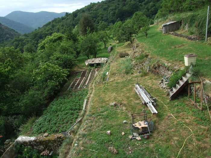 Le jardin 2015! avec du retard: quand les poules étaient là, pas question de faire un semis, j'ai du me contenter des pommes de terre en les plantant plus profond que les autres années pour qu'elles n'aillent pas les gratter... Donc, à part les pommes de terres, le reste démarre juste depuis 4 semaines qu'elles ont retrouvé leur propriétaire.
De plus, la terrasse du haut restera en grande partie en jachère à cause du mur qui s'est écroulé dessus à l'automne 2014.