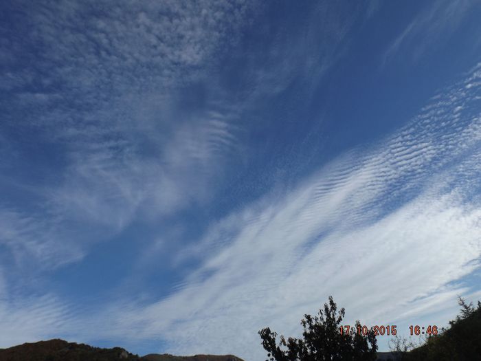 Alors que les avions sont partis vers 11h, les nuages artificiels ont pris peu à peu une allure naturelle (les travaux de Lauterwasser sur les fréquences expliquent très bien pourquoi). Et peu à peu, grâce à cette serre artificielle, les températures remontent, nuit douce contrairement à ce qu'avait annoncé Météo-France! Le lendemain, 10°C toute la journée SOUS LES NUAGES alors que c'est du beau temps FROID qui avait été annoncé.La propagande pour le réchauffement est sauve,voir ma page 