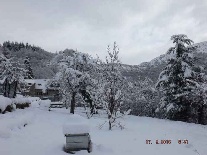 Cette fois c'est pas de la poudreuse mais 25 à 30cm de neige lourde.
L'hiver continue! Les thuriféraires sectaires du réchauffement climatique ont le nez dans leur caca, car si l'automne a été très doux, l'hiver est en retard, et finalement, si on fait la moyenne automne/hiver, on a un chiffre normal! La nature se rééquilibre dès qu'elle le peut, bande de géoingénieurs sous-humains!