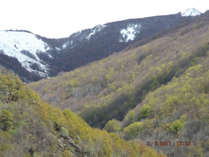 De belles éclaircies ont fait fondre la neige à basse altitude, mais au dessus de 1200m, ce sera plus long: 4 jours après, il en restera quelques taches dans les coins à l'ombre. Preuve que la température moyenne est inférieure à celles claironnées dans les bulletins météos qui ont tendance à parler bien fort en insistant pour Nice, Ajaccio ou Biarritz et Bordeaux, et parler tout bas en passant vite pour Strasbourg ou Charleville-Mézières.
