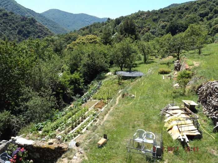 Le jardin 2017 est déjà bien avancé en ce 5 Juillet 2017, 3ème jour consécutif sans aucune tache solaire (voir 