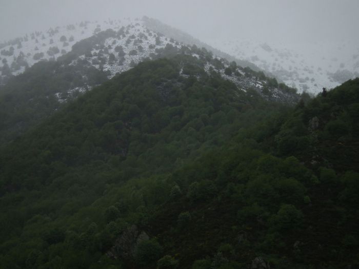 Le petit sommet du premier plan culmine à 957m, or la neige est descendue jusque vers 920 comme on peu le voir sur le haut de son flanc droit. Dans la journée, la limite est remontée un peu plus haut, comme le montrera la photo suivante, mais, surprise...