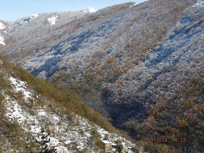 La tendance se confirme, ces 2 années 2018 et 2019 sans taches solaires ou presque: printemps frais jusqu'en début juin, 4 mois de beau temps puis retour de la neige, 30cm le 29/10 l'année dernière (photos plus haut) et pareil le 14/11 cette année. On voit que la forêt a encore des couleurs d'automne sous la neige, le cycle de végétation se rétrécit. Voir ma page 