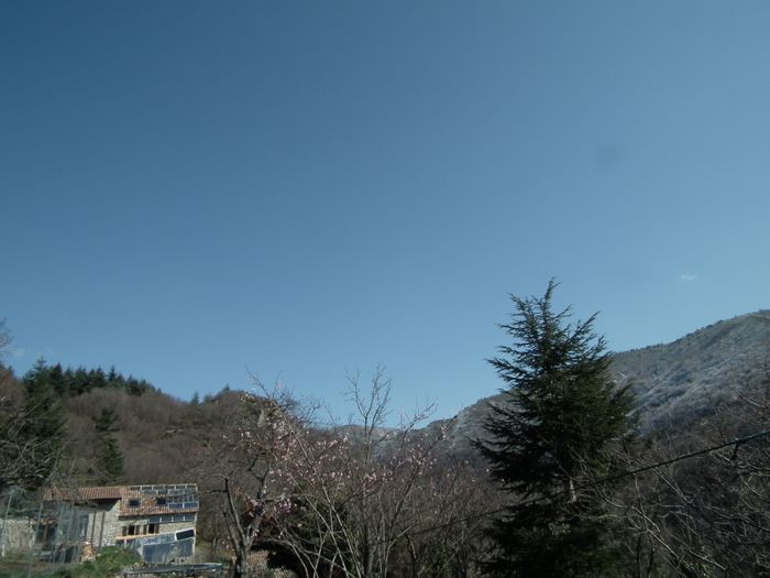Le confinement a du bon, depuis 1 mois, vrai ciel bleu historique d'avant l'aéronautique géoingéniérique. Ciel aussi plus lumineux, pris ici au très grand angle pour qu'on le voit jusqu'à 70° au dessus de l'horizon. Mais comme il n'y a plus de serre de cirrus artificiels, il gèle chaque fin de nuit, remarquez les sommets givrés. Le froid qui correspond au climat réel se révèle du coup. Voir ma page 