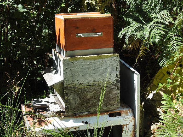 Depuis 2 ans, je remplace mes ruches Dadant par des ruches Warré, plus petites, mieux adaptées à l'hivernage en altitude. J'avais aussi une ruche Voirnot, et j'ai rematqué que le format Warré s'emboitait exactement dans le format Voirnot, formant une ruche à doubles parois. Sur cette photo, 3 éléments Warré sont enquillés dans un corps de ruche Voirnot, seul le 3ème élément (hausse) dépasse entièrement, les 2 autres sont bien au chaud dans le corps de ruche Voirnot, seul le haut du second élément dépasse un peu.