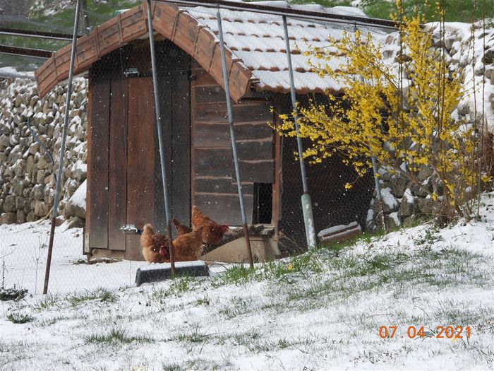 7 avril ! Bien qu'il n'y ai pas eu de record de froid, la moyenne est assez basse car c'est un hiver 
