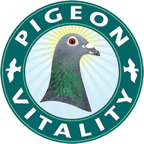 (c) Pigeonvitality.co.uk