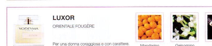 Descrizione —

Per una donna coraggiosa e con carattere.
Note Olfattive —

Oriental - Fougère
Luxor: Per una donna coraggiosa e con carattere.
Note di testa, sono le prime che si percepiscono nel profumo.
Note di cuore, sono l anima del profumo.
Note di fondo, sono quelle che conferiscono profonditá al profumo.

Nota di Testa

Mandarino

Nota di Cuore

Gelsomino

Nota di Fondo

Vaniglia
