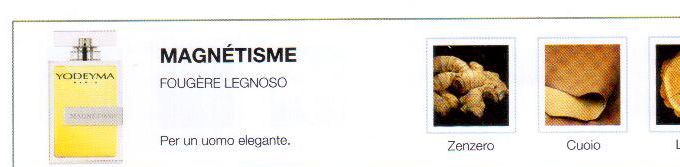 Descrizione —

La nota di testa dello zenzero unita alle note nobili del cuoio e del legno danno vita a un profumo carismatico e vibrante.
Note Olfattive —

Fougère Woody
Magnétisme é un profumo seducente per un uomo elegante.
Note di Testa, sono le prime del profumo a essere apprezzate.
Note di Cuore, rappresentano l'anima del profumo.
Note di Fondo, danno profondità al profumo.

Nota di Testa

Zenzero

Nota di Cuore

Cuoio

Nota di Fondo

Legno

