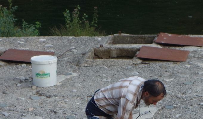 Nourrissage des truites avec une alimentation biologique à base de végétaux et farine de poissons de mer