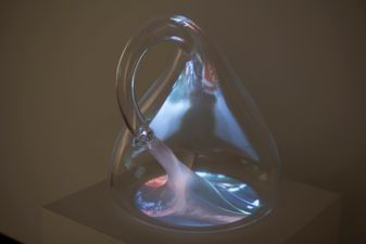 Klein Bottle 2014