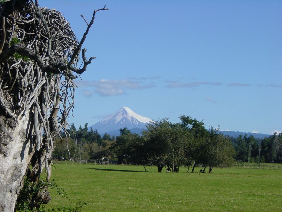 A_OSORNO3