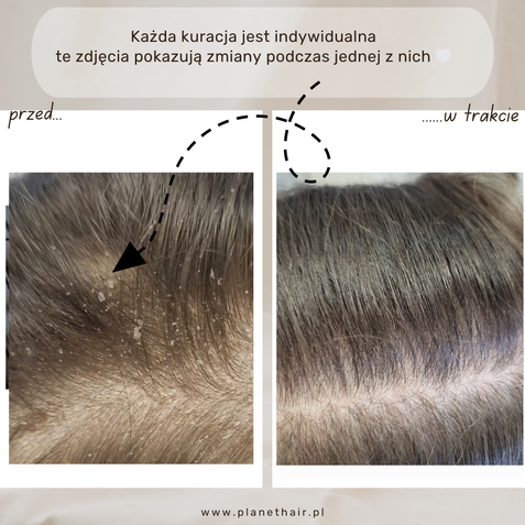 Kopia – Kopia – Kopia – Kopia – Kopia – gest 2