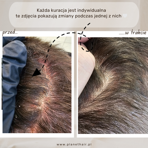 Kopia – Kopia – Kopia – gest 2
