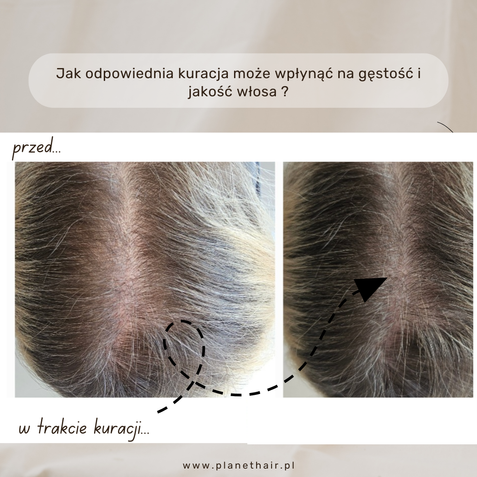 Kopia – Kopia – gest 2