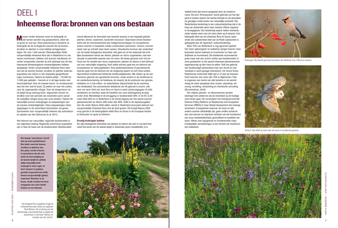 Boek,  Planten van hier