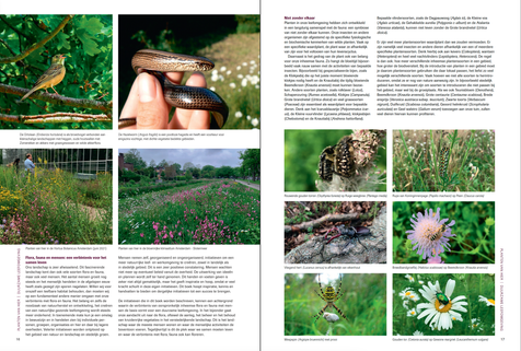 Planten van hier, boek inheemse planten