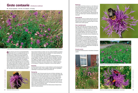 Planten van hier, boek